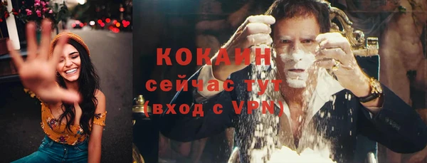 гидра Мегион
