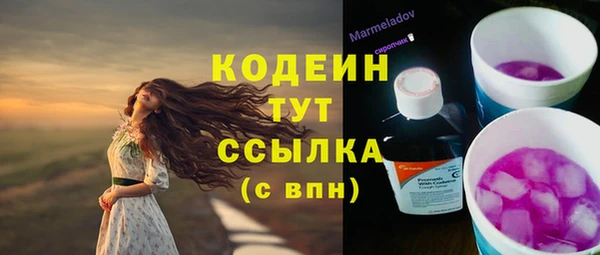 твердый Медногорск
