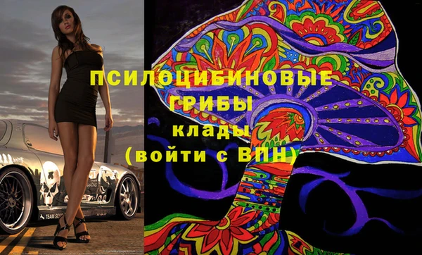 гидра Мегион