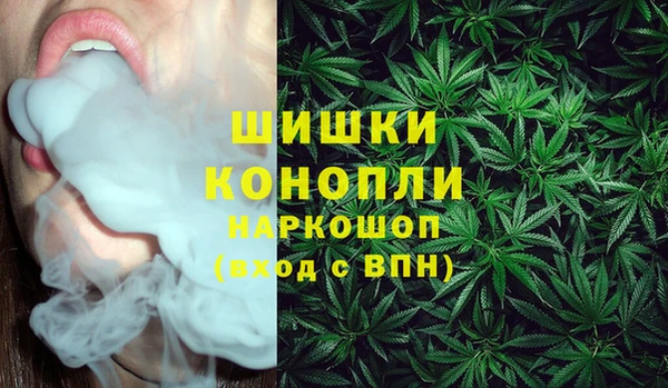 твердый Медногорск