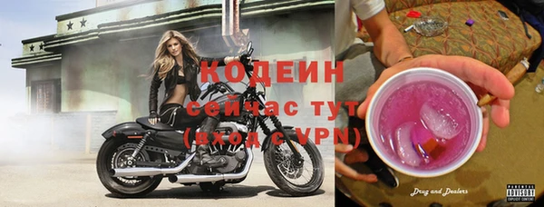 твердый Медногорск